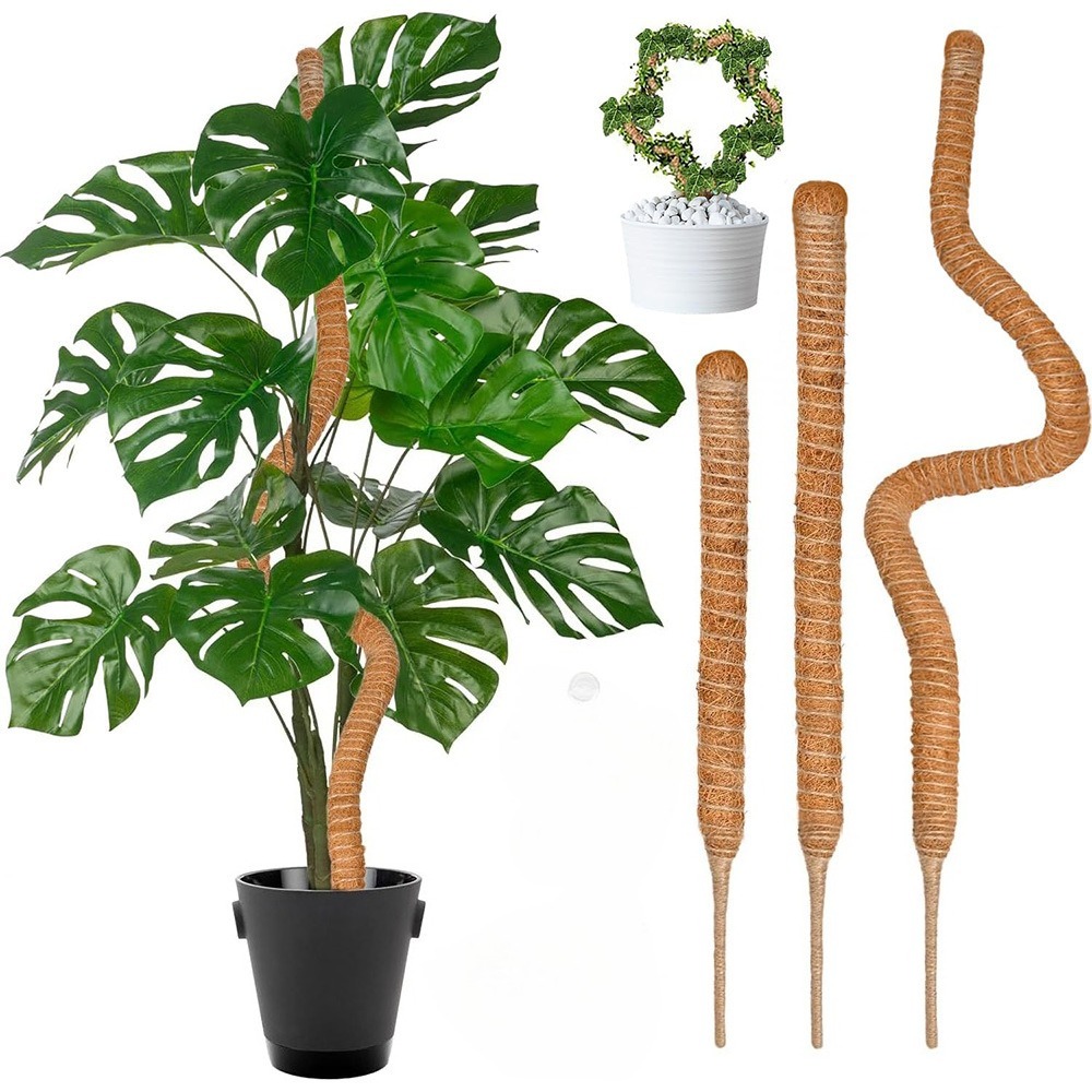30–100 cm biegbare Pflanzen-Kl – Sphagnum Moss Dry Bewertung und Preis