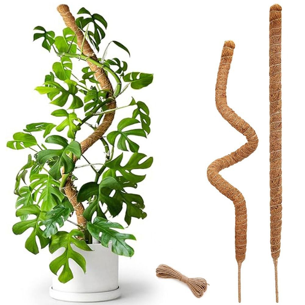 Pflanzenstütze Biegbare Moosst – Sphagnum Moss Dry Bewertung und Preis