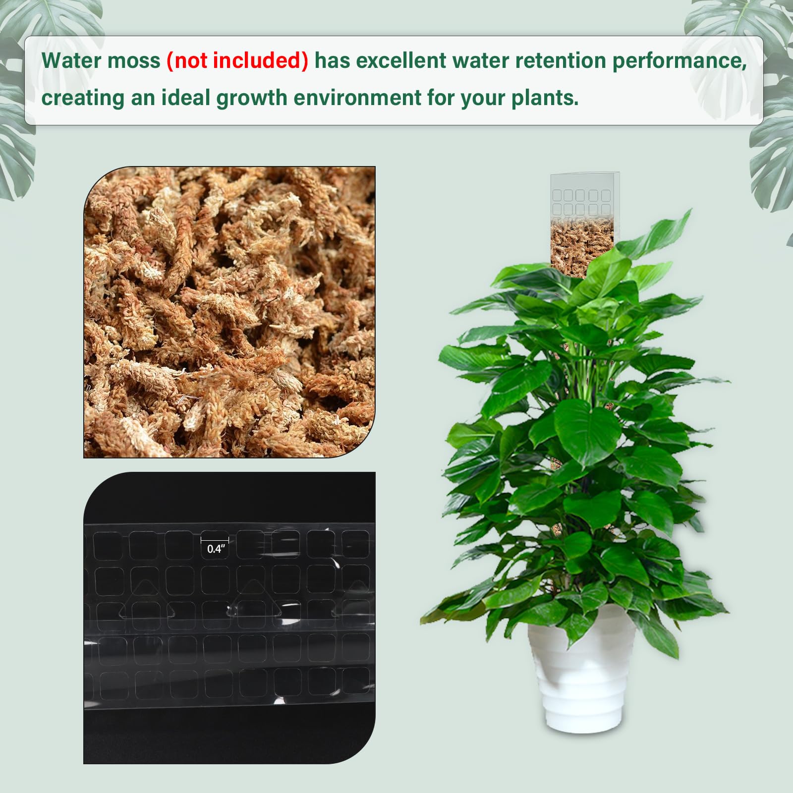Moosstange aus Kunststoff für  – Sphagnum Moss Dry Bewertung und Preis