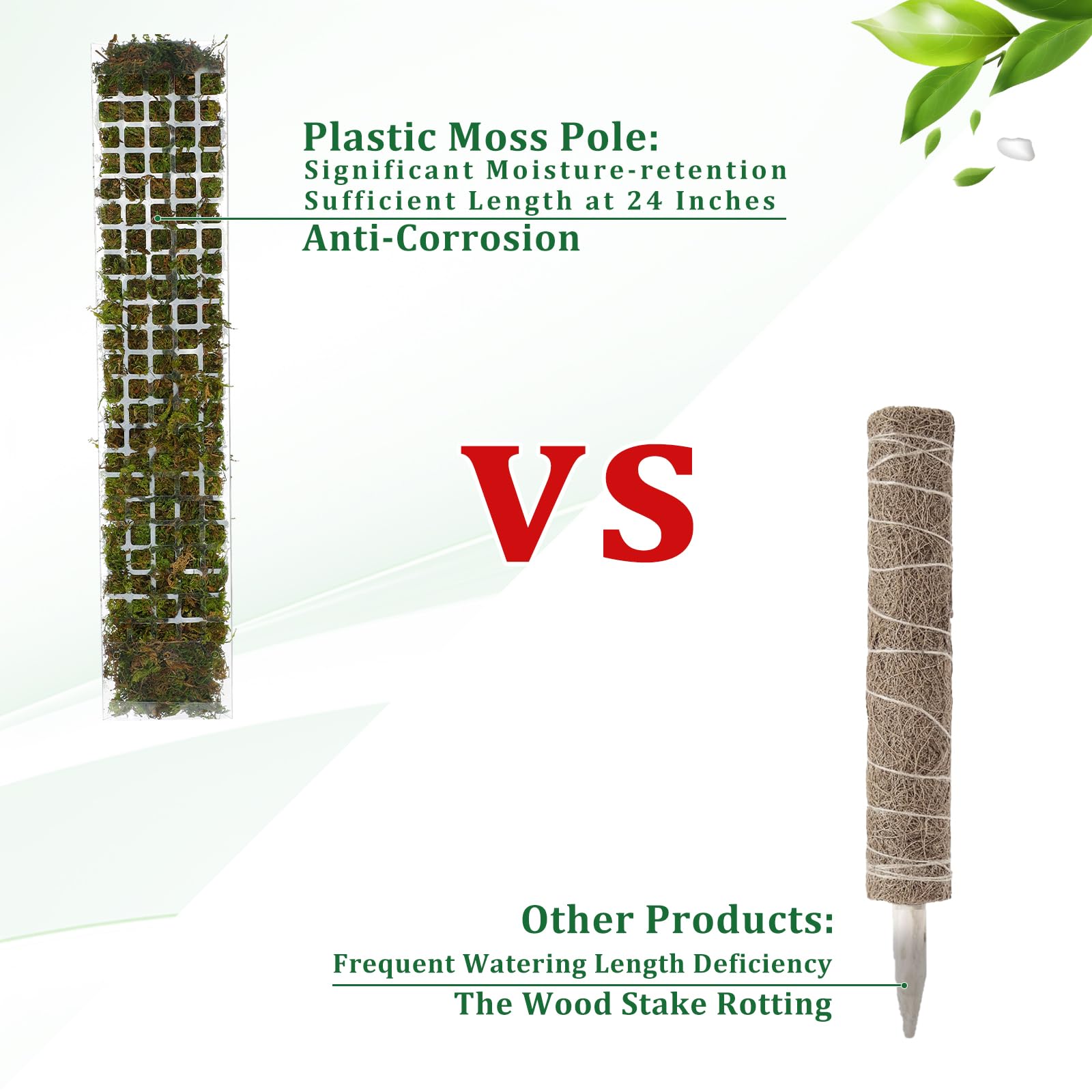 Moosstange aus Kunststoff für  – Sphagnum Moss Dry Bewertung und Preis