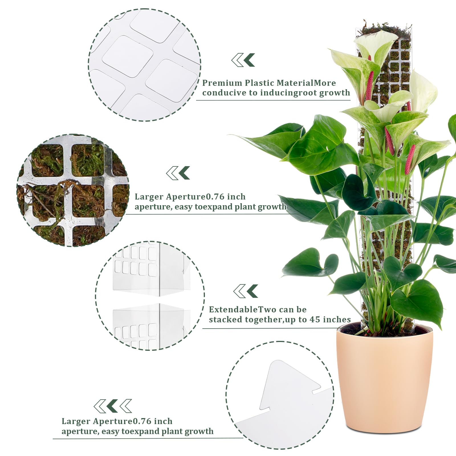 Moosstange aus Kunststoff für  – Sphagnum Moss Dry Bewertung und Preis