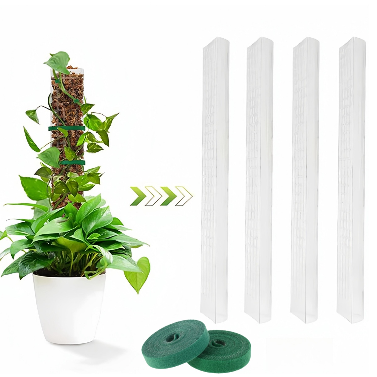 2/4/6Pcs Moos Pole Kunststoff  – Sphagnum Moss Dry Bewertung und Preis